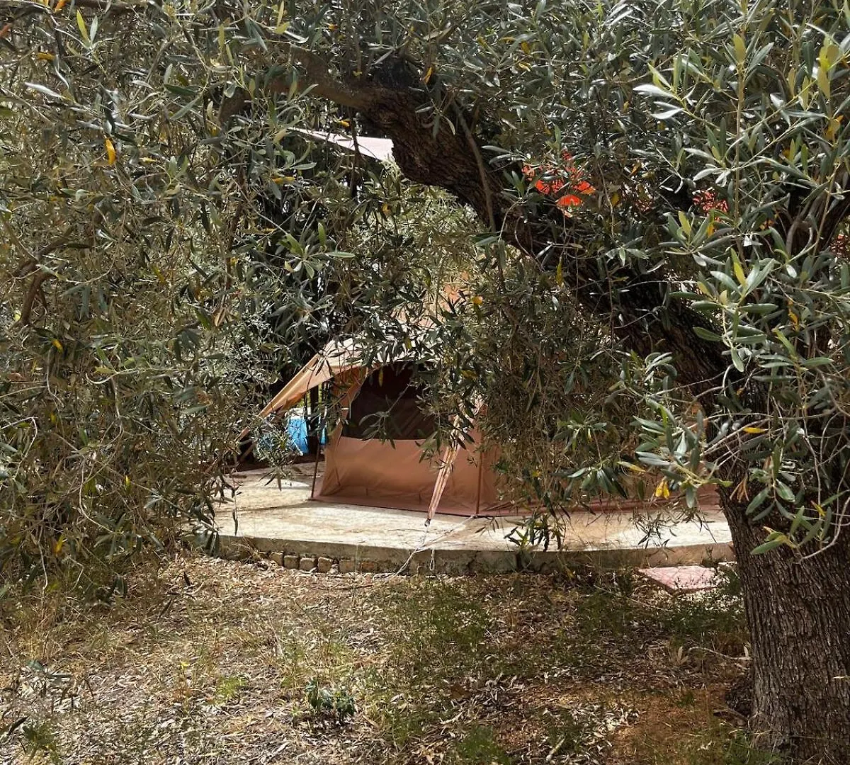 Luksustelt In Our Garden Sardinia Hotel Capitana Italien